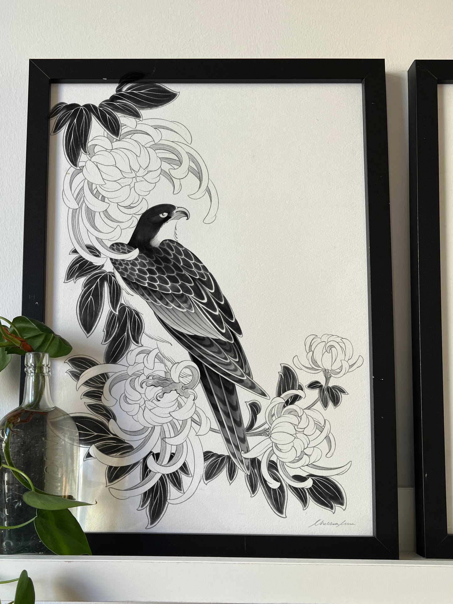 Falcon & Chrysanthemum